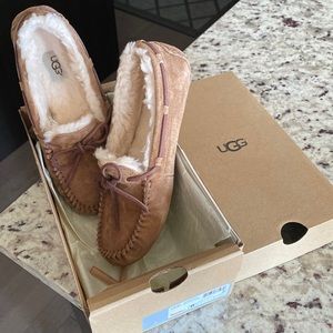 UGG Dakota in chestnut